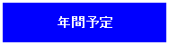 年間スケジュール